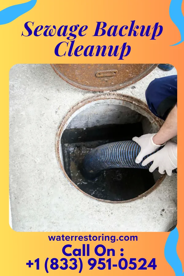 Sewage Backup Cleanup in Bush, IL